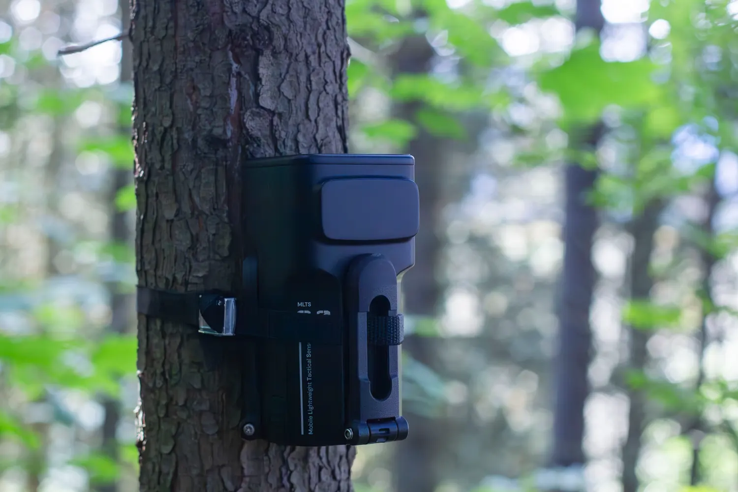A unit strapped to a deciduous tree in woodland.